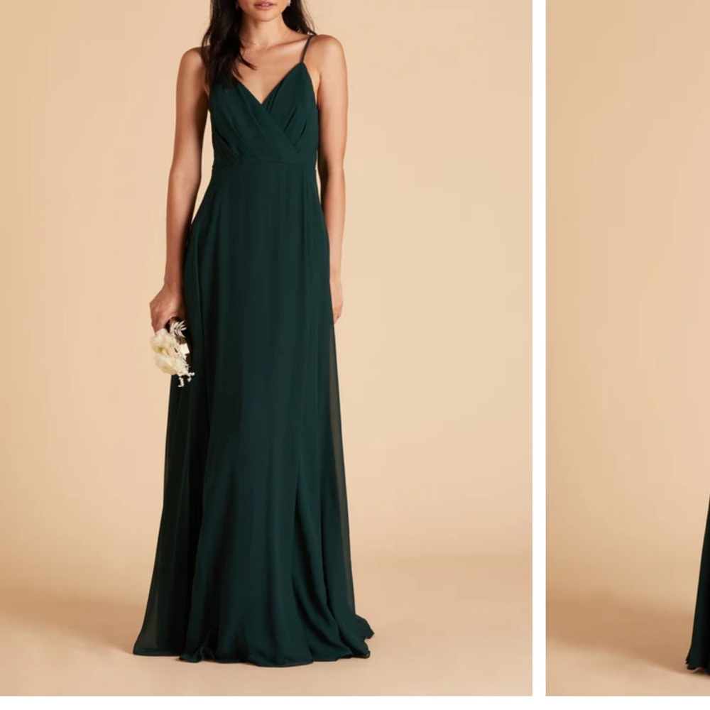 Birdy Grey Kaia Chiffon Gown